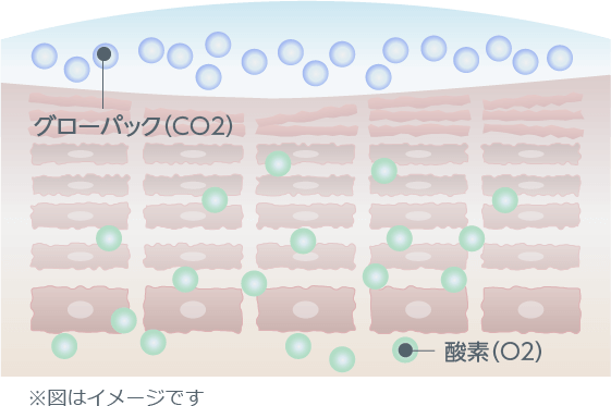 グローパック説明図01