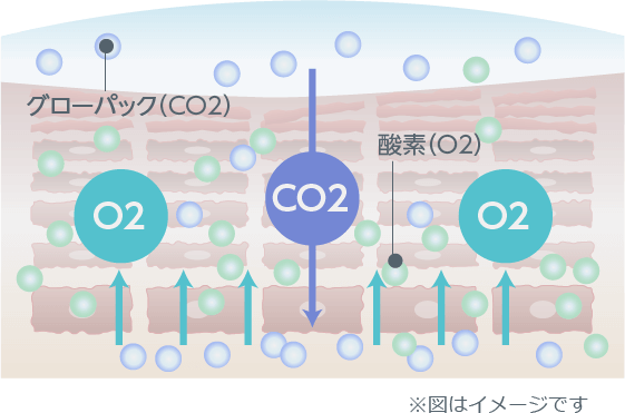 グローパック説明図02