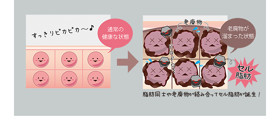 血流・リンパの巡りについて説明する画像