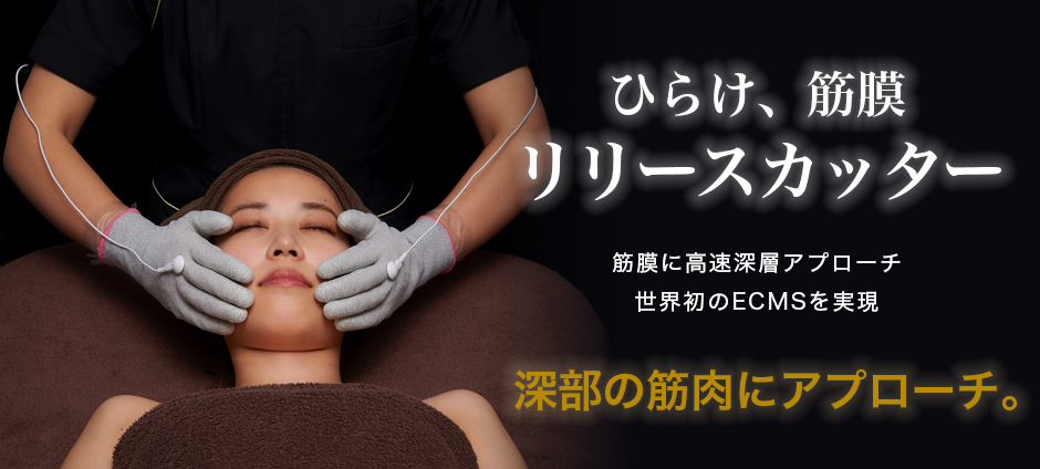 ひらけ、筋膜「リリースカッター」筋膜に高速深層アプローチする世界初のECMSを実現。深部の筋肉にアプローチ。